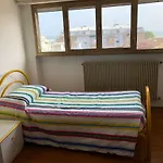 Edera * Grado